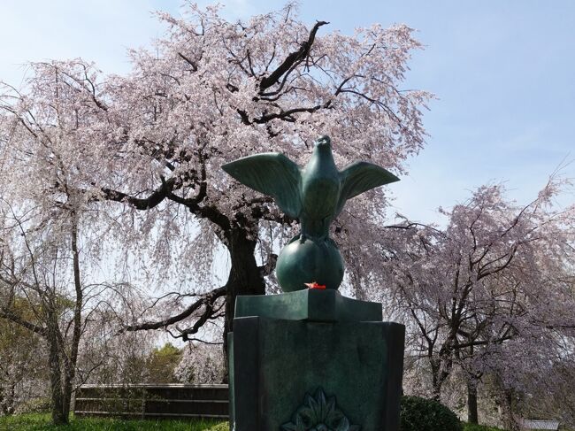 2021年3月の京都。昨年12月の予約で桜満開の時期を引き当てました。有名な桜の名所だけでなく、隠れたスポットや街なかの桜など、桜づくしを楽しみました。<br /><br />その5は東山の桜巡り。八坂神社から円山公園、知恩院へ。さらに岡崎疏水から金戒光明寺、真如堂まで足を伸ばしました。円山公園を別にすると、人もそれほど多くなく、ゆったりとした花見ができました。<br /><br />・八坂神社から円山公園<br />・知恩院<br /> 三門、御影堂、方丈庭園、山亭庭園、勢至堂から御廟<br />・岡崎疏水<br />・金戒光明寺<br />・吒枳尼天と真如堂<br />・宗忠神社鳥居<br />・鴨川<br /><br />表紙写真は、円山公園の枝垂桜