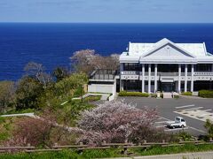 北へ。越前岬-丸岡-大野。桜は少なめで城めぐりに。