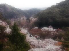 ’２１　春の福島・宮城駅さんぽ１２　水郡線 桜が満開の矢祭山駅