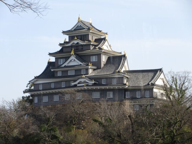 全国お城巡りの第2弾は岡山城です。美しいですね。青空に金のシャチが輝いています。岡山駅近くのビジネスホテルに泊まり、ホテルから歩いて岡山城まで行ってきました。<br /><br />注:岡山城天守閣は大規模改修のため、2021年6月1日から休館し、2022年11月にオープンする予定です。