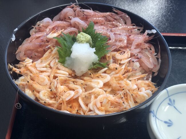 旬の桜エビ丼と至福のパフェと富士山と温泉