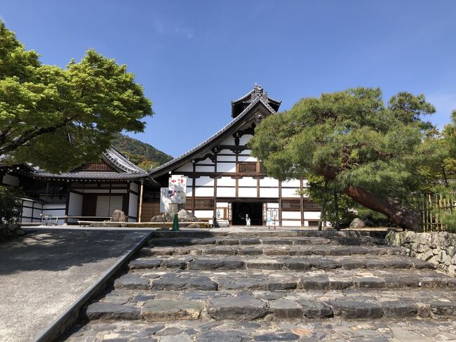 春の京都へ　②