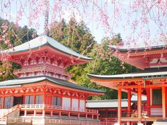 滋賀県 世界遺産 に関する旅行記 ブログ フォートラベル 滋賀県 世界遺産 に関する旅行記 ブログ フォートラベル