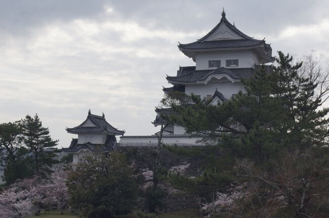 春の青春１８きっぷの季節。<br />天気もいいし年末年始に仕事をした分の代休を取らないといけない。<br />ということで、ヤフオクで手に入れた２回分の１８きっぷで<br />１泊２日の旅に出ることにしました。<br /><br />関西地区の１００名城がまだ全然行けてないということで、<br />ルートを練りに練った結果三重・和歌山・奈良の３県を巡るルートに決定。<br /><br />１日目：松阪城・伊賀上野城<br />２日目：和歌山城・高取城<br /><br />まだ乗ったことがない阪和線や和歌山線や伊賀鉄道。<br />そして何といってもまだ行ったことがない２県のうちの一つ<br />和歌山に上陸する旅。<br />どんな楽しみや発見があるのでしょうか。<br /><br />では、１日目の出発です。<br /><br />※鉄道＆城好きの呑兵衛による文章で、観光の参考にはならない部分が多々あるのでご注意を。