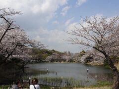 三ッ池公園のさくら　早咲きから遅咲きまで（３９種）　２０２１