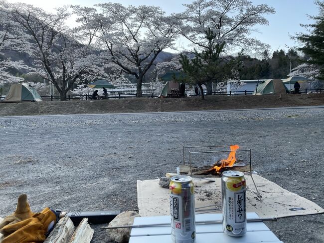 冬キャン、春キャンと少しずつ楽しみを覚えた我々夫婦はツールも少しずつ集めて、とうとう宿泊施設のみキャビンでそのほかは全部自前でキャンプを実施することができました!!<br />しかも今年は桜の時期が例年より少し早めで、花見をしながらキャンプをするのが楽しみだった私は勘を頼りに予約を変更し、群馬の有名キャンプ場を予約しました。<br /><br />かくして桜はど満開、夜は超寒かったけど、焚き火を楽しむこともできたし、夫婦で1から始めたにしては上出来だったかと思います。