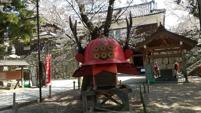 桜の盛りになる上田城跡公園を訪れた。平日なので天気が良くても桜を愛でる人は少なかった。コロナ禍のニ年目のお花見、何か愛おしい。咲いて良し、散って潔しの桜・・・日本人で良かった。