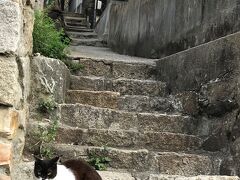 尾道 猫スポット に関する旅行記 ブログ フォートラベル 広島県 尾道 猫スポット に関する旅行記 ブログ フォートラベル 広島県