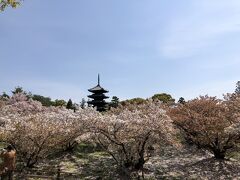 春の京都　③