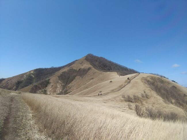 このところ土日のどちらかは雨の週末が続いたため日帰り登山ばかりでしたが、この週末は久々に土日とも晴れそうだったので、岡山・鳥取県境の蒜山(ひるぜん。標高1202m)と島根県の三瓶山(さんべさん。標高1126m)に登ってきました。<br /><br /><旅程><br />【1日目(4/10土)】<br /> 名古屋22:30→米子駅5:50(JRバス)<br /> 米子5:55→倉吉7:14(JR山陰本線)<br /> 倉吉駅7:50→8:28関金温泉9:30→道目木9:56(日本交通バス+真庭市コミュニティバス)<br /> 道目木9:57-10:30下蒜山登山口-11:18下蒜山11:20-12:15中蒜山12:19-12:52上蒜山13:01-13:14槍ヶ峰13:17-13:45上蒜山登山口-14:28湯船口バス停(徒歩)<br /> 湯船口15:29→16:11関金温泉16:56→倉吉駅17:31(真庭市コミュニティバス+日本交通バス)<br /> 倉吉18:11→出雲市19:41(特急まつかぜ)<br />【2日目(4/11日)】<br /> 出雲市6:49→大田市7:13(特急おき)<br /> 大田市駅7:17→国民宿舎さんべ荘前8:00(石見交通バス)<br /> 女夫松登山口8:00-8:35孫三瓶山8:37-8:56大平山9:02-9:16女三瓶山9:20-9:56男三瓶山10:06-10:44子三瓶山10:49-11:32西の原登山口(徒歩)<br /> 定の松12:46→大田市駅13:23(石見交通バス)<br /> 大田市13:38→14:01出雲市14:33→17:39岡山17:58→名古屋19:34(特急まつかぜ+やくも+新幹線)