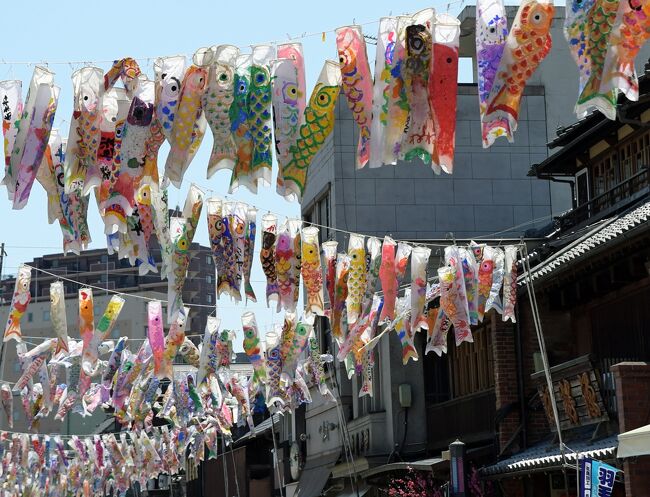 春の小江戸を散策。<br />4キロ近くを歩く。<br />満開の桜と青空が、レトロな川越の町をより一層楽しませてくれた。<br />