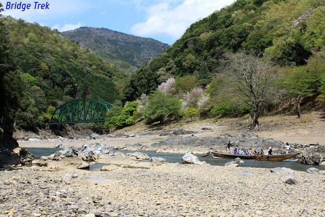 　今回は京都にマンボウが出る前に、保津川沿いの舟曳道に行ってきました。山陰本線の旧線は嵯峨野観光鉄道に引き継がれ、営業を続けていますが、保津川橋梁や清瀧隧道等、山陰本線の前身の一つ、京都鉄道開業時の貴重な遺産が残っており、以前からひと目観てやろうと装備を整える等準備を進めていました。<br />　亀岡から嵐山へ舟に乗り風光明媚な保津峡を下る『保津川下り』は有名ですが、その舟を亀岡へ戻すのに使われていた旧道が舟曳道です。1949年（昭和24年）からはトラック輸送に切り替わり、別の道路を通りますが、それまでは川沿いの舟曳道を船頭さんが舟を引っ張って運搬していたそうです。<br />　廃道となった今は、少し難易度の高いトレッキングルートとして多くの人を惹きつけています。初心者の私にはゴールのトロッコ保津峡駅まで辿り着けるか不安で、中々ここへ踏み入る決断ができませんでしたが、「難しそうなら無理せず引き返そう」くらいの気持ちで今回行ってきました。　<br /><br />※この場所は滑落等により死亡する可能性もある非常に危険な箇所が連続しています。安易に真似せず、水量や天候を確認し自分の体力・筋力・装備・経験等に見合ったトレッキングを楽しみましょう。　