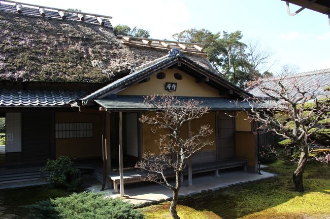 義母が入居している大阪府の介護施設から奈良は意外と近いというのに気付き、見舞いを兼ねて出かけてきた事をまとめてみました。<br />前半は義母と面会を済ませた後~車中で眠ってしまった初孫くん達と、予期せぬ形で「奈良公園」へ・・<br />後半は一度訪れてみたかった「慈光院」と、4トラベラー k.sさんの口コミで紹介された「音の花亭」などの様子です。