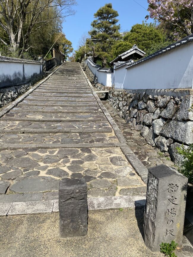 1日目は、新鳥栖駅前でレンタカーを借り、呼子の近くでイカの活き造りランチを頂いてから、広大な名護屋城城址、唐津城を訪れ、太宰府に泊まりました<br /><br />2日目は、太宰府天満宮に参拝してから、一度見てみたかった王塚装飾古墳群、中津城、宇佐神宮をまわり、杵築の旅館で美味しいオコゼをいただきました<br /><br />3日目は、杵築城、素敵な城下町を歩いてから、別府ロープウェイで山頂に向かい、由布岳などの景観を楽しんでから、湯布院の旅館に移動<br /><br />最終日は、雰囲気のある羅漢寺、古羅漢を訪れ、耶馬溪に移動して珍しい風景を眺め、最後に地球の歴史が生み出した奇岩の続く魔林峡、念仏橋、猿飛甌穴群を歩いてから、新鳥栖駅に戻りました<br /><br />北九州で訪れてみたかった場所を一筆書きで効率よくまわれ、良い旅となりました