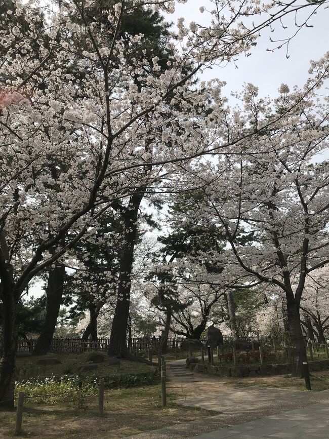 子供の大会が福岡県で行われ、観戦がてら遊びに行かせていただきました！<br />日程が短かったので観光はほぼできませんでした。。