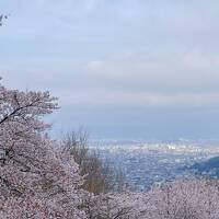 ANDOHOTEL奈良若草山に宿泊、桜を愛でる春旅。