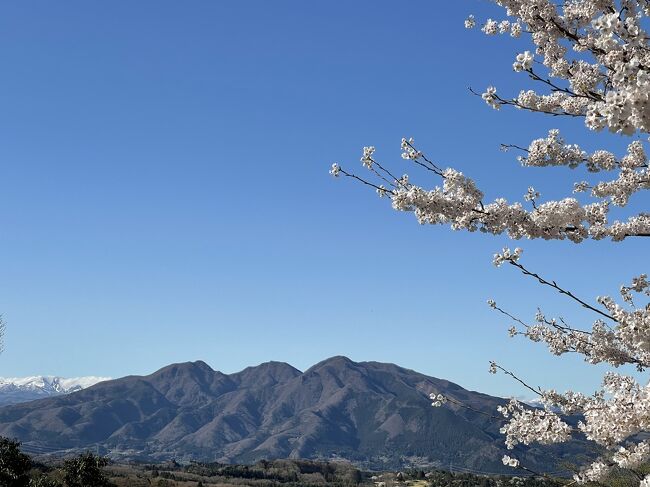 伊香保佛光山法水寺、昭和インター、須賀の園、花と山と♪