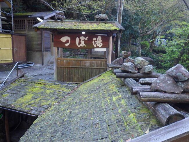 3月21日<br />和歌山県に入り、この日は「やどり温泉 いやしの湯」に泊まりました。温泉付きのコテージで素泊まり14200円+入湯税でした。コテージにはキッチンがついていて、電子レンジや冷蔵庫、炊飯器までありました。こたつもあるので我が家のようにくつろげました。ロフトもあって広々していて良かったです。コテージについている温泉は源泉かけ流しで、蛇口をひねるとpH8.5の弱アルカリ性のお湯がたっぷりとでました。お湯も良かったですし、湯舟も広々として気持ち良かったです。食堂も美味しそうでしたので、今度は食事付きでゆっくりと訪問したいと思いました。<br /><br />3月22日<br />「金剛峯寺前駐車場」に車を停め、「金剛峯寺」に行きました。堂々とした正門は金剛峯寺の建物の中で一番古いそうです。大玄関を見ながら右に回って参拝者入り口から入りました。拝観料は1000円を払って中に入ると、撮影禁止でしたが、大広間、持仏間、梅の間、柳の間など美しい襖絵のある部屋があり、それらを越えると、「新別殿」という大広間も見学することができました。「新別殿」には綺麗な曼荼羅も飾られていました。<br /><br />「金剛峯寺」を順路に沿って拝観していると、「蟠龍庭（ばんりゅうてい）」というお庭に出ました。雲海の中で雄、雌の一対の龍が向かい合い、奥殿を守っているように表現されているそうで、お大師さまご誕生の地である四国の花崗岩と京都の白川砂が使われているそうです。<br /><br />その後、「台所」を見学しました。実際に大勢のお坊さんの食事を賄ってきた場所だそうです。柱や梁も煤で真っ黒になっていました。一つの釜で98キロのご飯を炊くことができる大釜が三基並んでいて、三つで一度に二石（約2,000人分）のご飯を炊けるそうです。お彼岸のせいかお供えを配っていたのでありがたくいただいて拝観を終えました。<br /><br />「金剛峯寺」から500メートルほど歩くと「壇上伽藍」の「中門」着きました。金堂の正面手前の一段低い所に、そびえる五間二階の楼門で、持国天（じこくてん）像・多聞天（たもんてん）像のほか、広目天（こうもくてん）像・増長天（ぞうちょうてん）像の四天王がまつられていました。<br /><br />壇上伽藍（だんじょうがらん）はお大師さまが高野山をご開創された折、真っ先に整備へ着手した場所で、密教思想に基づく塔やお堂が見られました。「胎蔵曼荼羅」の世界を表しているといわれていて、金剛峯寺の高野山「一山境内地」の中核にあたるということです。<br /><br />「中門」をくぐると目の前に「金堂」がありました。「金堂」は高野山御開創当時、お大師さまの手で最初期に建設されたお堂で、「講堂」と呼ばれていたそうです。高野山の総本堂として「壇上伽藍」の中央部にありました。<br /><br />「金堂」の隣に「根本大塔」がありました。真言密教の根本道場におけるシンボルとして建立されたので「根本大塔」というのだそうです。堂内は有料かつ撮影禁止でしたが、本尊は胎蔵大日如来で堂内そのものが立体の曼荼羅として構成されていました。<br /><br />「根本大塔」を背に「金剛峯寺前駐車場」方向に戻っていくと、「不動堂」がありました。やもすると見逃しそうな地味な建物ですが、四人の工匠がそれぞれの随意に造ったため、お堂の四隅はすべて形が違っているのだそうです。<br /><br />「不動堂」の近くに「大会堂」がありました。五間四面のお堂で、五辻斎院（ごつじさいいん）内親王というお方が、父帝の追福のため建立した建物だということでした。今は、法会執行の際の集会所的役割で使われているそうです。<br /><br />「大会堂」の近くに「東塔」がありました。「根本大塔」より小ぶりで色も地味目ですが綺麗な塔でした。天保14年（1843年）に焼失してからしばらくの間再建されず、140年たった昭和59年（1984年）に再建されたものだということです。<br /><br />「金剛峯寺前駐車場」を出発し、奥之院一の橋近くの路肩の駐車場に車を停めて奥之院参道に入ると「町石」がありました。道しるべとして「根本大塔」から1町（約109メートル）おきに建てられているもので、世界遺産「紀伊山地の霊場と参詣道」に登録されているそうです。<br /><br />奥之院参道は杉木立に囲まれていて、「武田信玄・勝頼墓所」、弘法大師が腰かけたという「腰かけ石」、「石田三成供墓所」、「明智光秀墓所」、「初代市川團十郎墓所」、水に姿が映っているのが見えないと、3年以内に病で亡くなるという「姿見の井戸」、耳をあてると極楽の声に似た音が聞こえるという「禅尼上智碑」、「密厳堂」、「芭蕉句碑」、「安芸浅野家墓所」、家康の次男「結城秀康石廟」、「豊臣家墓所」、「織田信長墓所」と誰もが知っている戦国武将、大名、著名人の供養塔が無数に並んでいました。<br /><br />「奥之院参道」を抜けると「御廟橋」に出ました。この先はお大師様がいまだに瞑想を続けられている「聖地の中の聖地」であるということで張り詰めた雰囲気がありました。この先は写真撮影が許されないので最後に写真が取れた場所でした。<br /><br />「御廟橋」のたもとに「水向け地蔵」さんがいらっしゃいました。地蔵の前には水が湧いていて、たくさんの経木（水卒塔婆）に水を注いでいる方がいらっしゃいました。そうして亡くなった人の冥福を祈るのだそうです。<br /><br />「御廟橋」を渡って「弘法大師御廟」を参拝しました。今でもお大師さまが肉身をこの世にとどめ、深い禅定に入られているといわれる大師信仰の中心聖地だけあって、撮影禁止なのがわかる緊張感が漂っている、とても厳かな場所でした。<br /><br />「高野山奥の院」を出発し、1時間ほど走って「谷瀬の吊り橋」に行きました。国道168号線沿いではなく、対岸の無料駐車場に停めて橋を渡りました。国道168号線沿いではなく対岸に無料駐車場があったので、そこに車を停めて橋を渡りました。先日渡った静岡の「夢の吊り橋」の方が、橋や周辺の景色は上かと思いましたが、長さ297.7mと日本一の長さを誇る吊り橋はなかなか渡りごたえがありました。<br /><br />「谷瀬の吊り橋」から30分ほどで道の駅「十津川郷」に到着しました。本当は「そば処 行仙」で蕎麦を食べたかったのですが、残念ながら15時で閉店した直後でしたので、足湯にだけ浸かって先に進むことにしました。<br /><br />道の駅「十津川郷」から30分ほどで道の駅「奥熊野古道ほんぐう」に到着しました。まずはイートインコーナーで「山菜そば・めはりセット」800円をいただきました。久しぶりの「めはり寿司」ですが、目を見張って口に入れると、高菜の漬物とご飯と醤油ダレの味が口いっぱいに広がって美味しかったです。そして「山菜そば」の汁を飲むと、これまた「めはり寿司」とよく合いました。そばもしゃきしゃきしていてとても美味しかったです。素朴ですが飽きの来ないやさしい味でした。そして、食べ終わった後、「熊野古道」に関する展示を見ました。とても勉強になり、こちらもお勧めです。<br /><br />道の駅「奥熊野古道ほんぐう」で「山菜そば・めはりセット」をいただいたあと、もう少し食べたかったので、周辺を調べましたが、なかなか飲食店が見つからない中、唯一見つけられたのが「ほん和か」でした。すりおろしニンニクで炒めているという「スタミナ焼きそば」530円と「豚モダン」900円を注文しました。鉄板付きのテーブルですが、ご主人が調理場で調理して、温かい鉄板の上で食べるというスタイルでした。「スタミナ焼きそば」は目玉焼きも乗っていてなかなか豪華でした。ニンニクも効いていて味も悪くなかったです。「豚モダン」も懐かしい感じの味でした。周辺に家も少ない中、「なんでこんなところに」と思わせるくらい駐車場が大きく建物も大きなお店で、値段も手ごろでしたので、休日や夜に家族で集まって、わいわいやれるファミレスのようなお店でした。<br /><br />川湯温泉では同じ山水館グループの「川湯まつや」を素泊まりで7500円で予約していたのですが、臨時休館で「川湯みどりや」さんに変更ということになりました。あきらかに「川湯みどりや」さんのほうが豪華な感じでしたのでラッキーでした。素泊まりのせいか部屋に入るとすでに布団がセッティングされていました。窓の外には大塔川と河原の露天風呂が見えました。「湯浴み着」を着て入る混浴で誰も入っていなかったので早速入ってみました。お湯はpH7.1とほぼ中性。ゆったりと流れる川を見ながらの露天風呂はとても気持ちよかったです。<br /><br />3月23日<br />川湯温泉「川湯みどりや」を出発し、10分ほどで「湯の峰温泉」に到着しました。温泉街に入ったところに「湯の峰温泉駐車場」という無料の駐車場があったので、そちらに車を停め、川沿いを200メートルほど歩いて「つぼ湯」に行きました。<br /><br />9時ちょっと前に待ち時間なし1番札で受付ができました。料金は1人400円でした。20年ぶりのつぼ湯です。小屋に入ると、石でできた小さな湯舟がありました。pH7.0で中性ですが、かなり硫黄の臭いのする白濁したお湯でした。1番風呂のせいかとても熱かったので、温泉成分をあまり薄めないよう最小限に水で冷ましました。その間、つぼ湯で蘇生したという「小栗判官物語」を読んで待ちました。いよいよ入ってみると、湯舟は意外と深さがあり、岩穴の底からお湯がぽこぽこと湧いていました。二人なら十分の広さもあり、お湯も良かったですし、とても気持ちよかったです。<br /><br />つぼ湯に入った後、川沿いに引き返し、「湯の峰温泉 湯筒」に立ち寄りました。「湯筒」ではぼこぼことお湯が湧いていました。今回は時間が無かったのでできませんでしたが、前回来たときは、細いサツマイモを買い、茹でて食べました。とても美味しかったので今度は再び挑戦したいです。<br /><br />「湯の峰温泉」を出発し、10分ほどで「熊野本宮大社」に到着しました。参道沿いの158段の石段には「熊野大権現」の幟がはためいていました。石段の途中に、「まずは祓戸大神（はらえどのおおかみ）でお参りをするよう」との看板が出ていたので、お参りをしました。ここで身を祓い清めるのだそうです。石段を登りきると、境内には拝殿とシンボルの「八咫烏」と神門がありました。神門をくぐると、御社殿がありました。撮影禁止の厳粛な聖地を、①証誠殿、②中御前、③西御前、④東御前、⑤満山社の順にお参りました。<br /><br />「産田社」を出ると、大きな鳥居が見えてきました。日本一の大鳥居なのだそうです。鳥居をくぐると桜がとても綺麗で、世界遺産の石碑もありました。木々の間を抜けると、熊野大社の旧社地に出ました。大斎原には二基の石祠が建てられて神々が祀られていました。<br /><br />「熊野本宮大社」を出発し、20分ほどで道の駅「瀞峡街道 熊野川」に到着しました。川の参詣路として川自体が世界で初めて登録された世界遺産「熊野川」の大きな標識がありました。目の前にはゆったりと熊野川が流れていて、川舟下りが体験できる「熊野川川舟センター」もありました。<br /><br />道の駅「瀞峡街道 熊野川」の「かあちゃんの店」で昼食をいただきました。「茶がゆ定食」680円、「めはりずし」130円×2個、「かあちゃん定食」850円のご飯大盛+100円を注文しました。「かあちゃん定食」にはコロッけ、ハンバーグ、煮物など総菜5品にご飯、汁物、漬物がついていました。コロッケがほくほくで美味しかったです。みそ汁もとても美味しかったです。コスパを考えても満足度の高いメニューでした。「茶がゆ定食」は茶がゆに焼魚など総菜3品がついていました。さっぱりしていて美味しかったです。「めはりずし」も美味しかったですが、このラインナップだとちょっと浮いてしまったので、やっぱり蕎麦あたりと組み合わせたほうが美味しいかと思いました。<br /><br />道の駅「瀞峡街道 熊野川」から熊野川沿いを走ること40分、無料の「大門坂駐車場」に車を停めて、大門坂入り口から世界遺産「熊野古道 大門坂」を登りました。博物学者の南方熊楠が那智原生林を研究するために滞在した旅館の後を見ながら、鳥居をくぐって、振ヶ瀬橋を渡り、那智山の霊域に入ると、「祈り石」のひとつ「鏡石」がありました。そして、坂の両脇に夫婦杉がそびえていました。<br /><br />南方熊楠によって伐採の危機から守られた大門坂の原生林の間を登ってくと、「多富気王子（たふけおうじ）」がありました。王子は参詣途上で儀礼を行う場所で、多富気王子は熊野九十九王子の最後の王子社跡だということです。<br /><br />「多富気王子」からさらに大門坂を登り、関所跡「十一文関跡」を通り過ぎ、祈り石の「唐斗石」の間から那智の滝を拝み、大門坂の大門があった広場、晴明橋の石材を越え、さらに石段を登って「那智山」に向かいました。鳥居を潜ってさらに石段を登ると「熊野那智大社」に到着しました。<br /><br />御本殿は特別参入しないと入れなさそうでしたので、まずは拝殿を参拝しました。その後、八咫烏と御縣彦社（みあがたひこしゃ）を見た後、「樟霊社（しょうれいしゃ）」には平重盛の御手植えと伝わる樹齢約850年の御神木の大樟がありました。幹が空洞化していて、胎内くぐりができるということでしたので、護摩木（300円）をいただき洞窟をくぐり抜け、開運祈願ができました。<br /><br />「熊野那智大社」のすぐ隣に「那智山青岸渡寺（せいがんとじ）」がありました。西国三十三カ所観音霊場の第一番札所であり、世界遺産「紀伊山地の霊場と参詣道」の構成資産の1つでした。「本堂」の右側広場の高台からは、那智大滝や三重塔を綺麗に見ることができました。<br /><br />那智山青岸渡寺の三重塔を見ながら山を下り、飛瀧神社に行きました。杉木立の参道を下りきると「光ヶ峯遥拝石」がありました。熊野の神様が降臨したと伝えられている光ヶ峯に通じていて、「一回なでると縁結び・心願成就、二回なでると金運隆昌・家内安全、三回なでると厄除け・身体健康」の力をいただけるそうで、二回なでてみました。そして正面には、那智の滝の雄大な姿が見られました。<br /><br />飛瀧神社のご神体「那智の滝」は133メートルの高さから滝つぼに流れ落ちていました。太古の昔から神として崇拝されてきた那智の滝はその姿を見るだけで神々しさも感じられました。世界遺産「紀伊山地の霊場と参詣道」の構成資産の1つにも登録されていました。<br /><br />「大門坂駐車場」に戻り、10分ほどで道の駅「なち」に到着しました。「熊野那智世界遺産情報センター」が併設されていて、「那智山宮曼荼羅(那智参詣曼荼羅)」、「京都から那智までの道のり」などの展示を見ることができました。また、直売所では「せとか」300円と「三宝柑」150円を買うことができました。<br /><br />紀伊勝浦駅前の「Hotel&amp;RentaCar660」に泊まりました。ツインルーム素泊まりで8800円が、じゃらんのクーポンで1200円引きでした。部屋は壁が薄くて周りの音がただ漏れなのが残念でした。<br /><br />夕飯は予約して「いちりん」に行きました。日本酒とお造り「おまかせ盛り合わせ5種」1850円と「くじら盛り合わせ」(1～2人用)1650円を注文しました。「おまかせ盛り合わせ5種」は仕事が丁寧で、上品に仕上げられていたのですが、名物の鮪の味が、いつも神奈川で食べている三崎の鮪と比べて若い感じだったのでちょっともの足りなく感じてしまいました。「くじら盛り合わせ」はめったに食べないので食べられて良かったですが、まあ、こんなものかなという感じでした。<br /><br />「いちりん」で軽く食べた後「竹原」にはしごをしました。「名物まぐろ定食」1500円（税抜）と「さしみ盛り合わせ定食」1500円（制抜）を注文しました。まずは「名物まぐろ定食」から。見るからに美味そうな脂の乗ったまぐろは、ねっとりとした旨味があって美味しかったです。親父さんがボソッと「うまいでしょ」って言ったとおり、自慢の鮪はいい味でした。そして「まぐろのタタキ」も初めて食べましたが美味かったです。こちらは「名物まぐろ定食」のお造りの鮪の2/3くらいが別の魚に置き換わったものでした。どれも味は悪くないのですが、やっぱりまぐろが一番うまかったので、次回は「名物まぐろ定食」一本でいいのかなと思いました。<br /><br />温泉は全く期待していなかったのですが、源泉かけ流しで、湯舟も大きく、塩素臭くもなくとても良かったです。pH7.0と中性で、ちょっと塩味のある食塩泉でした。<br /><br />3月24日<br />「Hotel&amp;RentaCar660」を出発し、20分ほどで「熊野速玉大社」に到着しました。無料駐車場に車を停め、大鳥居をくぐると、右手に「八咫烏神社」があり、その対面に「熊野速玉大社御神木の梛（ナギ）」がありました。ナキは葉脈が縦に入り切れにくく破れにくいため縁結びの御利益があるとのことです。<br /><br />神門をくぐると「拝殿」があったので、まず拝殿を参拝しました。そのあと、正面の第一殿（結宮）、第二殿（速玉宮）、上三殿、八社殿と順番にお参りをしました。八社殿の隣には「新宮神社」やさざれ石、世界遺産の石碑もありました。授与所には「御神木の梛（ナギ）」の実で作られているなぎ人形が置いてありました。縁結び、家内安全のお守りなのだそうです。<br /><br />「熊野速玉大社」から車で2分、無料駐車場に車を停め、赤い橋の奥に「神倉山」がありました。桜が綺麗に咲いていました。鳥居の先に石段が壁のようにそびえていました。杖が箱に入れて置いてあったので借りて登りました。石段を登りきると開けたあたりに出て、ここも桜が綺麗でした。<br /><br />「神倉山」の石段を登りきると開けたあたりに出て、ここも桜が綺麗でした。その先に鳥居があり、鳥居の先は熊野の神々が降臨したという聖域でした。鳥居の先に「神倉神社 手水鉢」がありました。「黒雲母花崗斑岩の巨大な石を加工して作られたもので、新宮城主第2代水野重良が、下野国那須城主の大関高増の母の延命と繁栄を祈願して寄進したもの」という説明板がついていました。<br /><br />「神倉神社 手水鉢」越えて岩壁を削るようにつけられた道を進むと、岩壁の上に神倉神社が見えてきました。神社の上には「ゴトビキ岩」が崖にせり出していて、神社が岩を支えているよう鎮座していました。「ゴトビキ岩」は熊野の神々が最初に降臨されたご神体であり、熊野信仰の原点だということでした。<br /><br />「神倉神社」から20分ほどで補陀洛渡海で名高く世界遺産「紀伊山地の霊場と参詣道」の構成資産の1つ「補陀洛山寺」に着きました。拝観料はありませんでしたが、100円の線香かろうそくをいただいて本堂を見させていただく感じでした。補陀洛渡海が描かれた那智山宮曼荼羅を見ることができました。<br /><br />「補陀洛山寺」に復元された「補陀落渡海船」がありました。生きながらに南海の観音浄土（補陀落浄土）をめざして行われた捨身行「補陀落渡海」というものが行われていたということを知り、「補陀落渡海」を肌で感じることができました。<br />