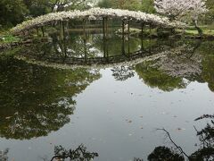 【２泊３日　春の愛媛　ひとり旅】お城と桜と橋と鯉！の巻　４