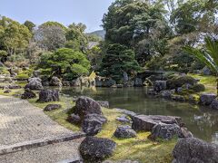 醍醐寺の桜　３     「三宝院」