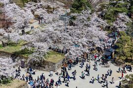 会津/喜多方/東山温泉ぐるり旅【3】～難攻不落の名城～鶴ヶ城桜まつり2017