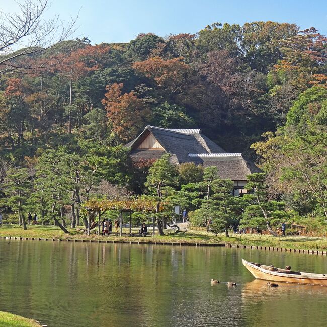 雲一つない快晴でしたので、レンタカーで横浜の三渓園とその南にある本牧市民公園内の上海横浜友好園を見学してきました。<br /><br />本旅行記は「晩秋の横浜 三渓園 上海横浜友好園 I」(https://4travel.jp/travelogue/11665575)の続きです。<br />三渓園と上海横浜友好園の概要につきましては前報をご覧ください。<br />