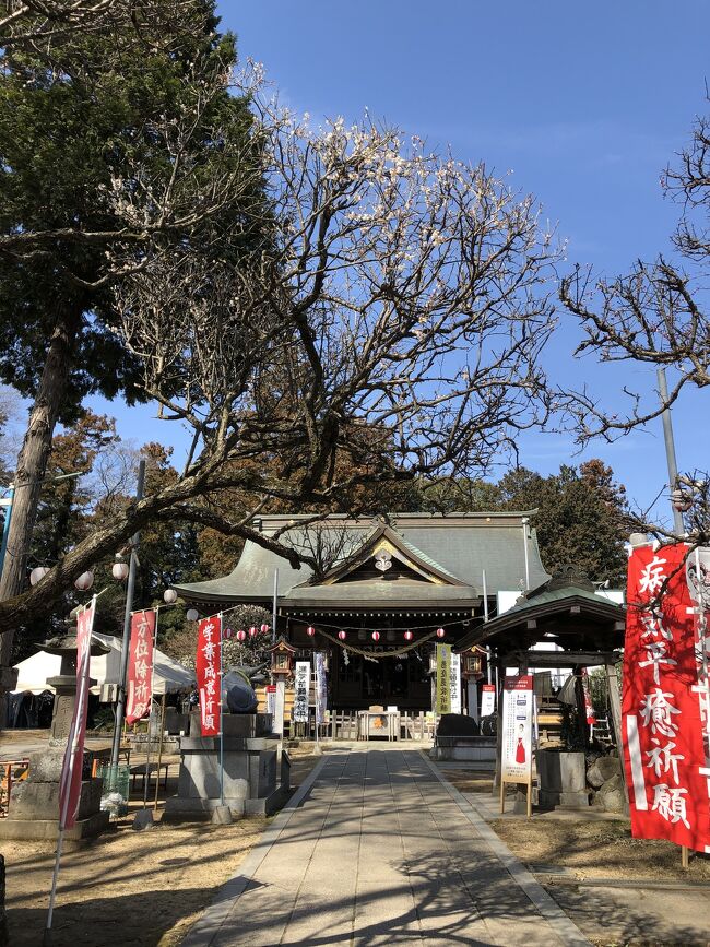 新年は喪中だった為にお正月らしい事もせず、相続やら何やらに追われ気が付けば2月も終わり間近のこの日。<br /><br />コロナ禍でうんざりしていた頃に朝からお天気が良かったので、ふらっとドライブで茨城県常総市へ気分転換と梅のお花見もかねて御朱印巡りに行って来ました。