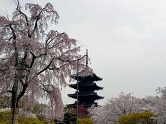 京都駅周辺！徒歩で巡る東本願寺・西本願寺・東寺