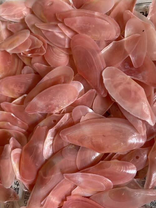 西能登 増穂浦海岸で貝殻を拾うひとり旅』羽咋・千里浜・津幡(石川県