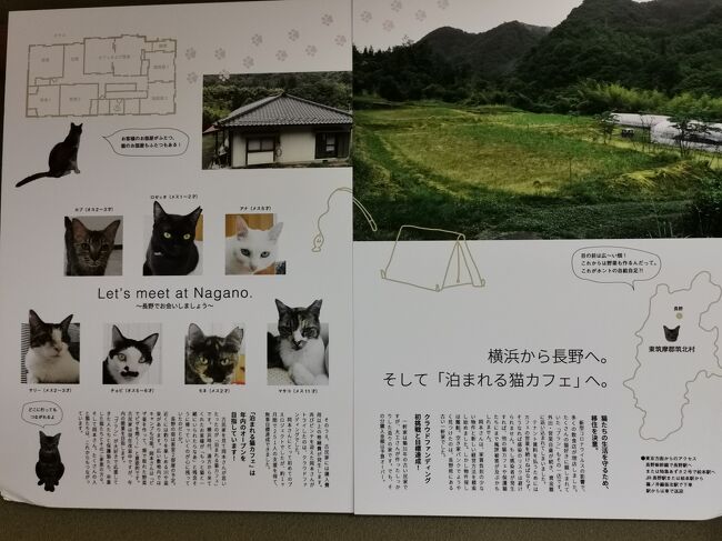泊まれる猫カフェの宿泊体験に行ってきました。<br /><br />※2021年4月時点で民泊は開始されていません。<br />詳しくは↓<br />https://www.neko-cafe.info/