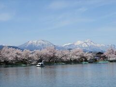 2021年04月　長野・須坂市の臥竜公園の桜を見に行ってきました。