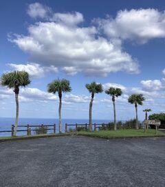 ☆ 奄美大島（後編）