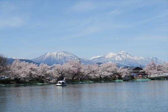 2021年04月　長野・須坂市の臥竜公園の桜を見に行ってきました。