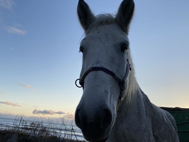 道南を巡る　馬と温泉の旅1日目