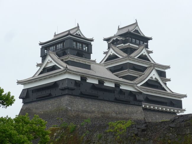 久々に熊本で仕事で出かけることになり所用を済ませ熊本市内の呉服町にある寿司・割烹「魚よし・魚嘉別荘・本店」で夕食しました。<br />(※宿泊は熊本駅前の東横イン)<br />熊本と大分は2016年4月14日と16日の大地震発生で甚大な被害が各地で起き今なお復興途中です。<br />少しずつ各地で建物・構築物・道路・鉄道等の町づくり再興がなされている状況です。<br />そんな中、熊本城の天守閣が改修され４月２６日から熊本城内の見物や天守閣にも上がることが出来るようになります。<br />人々の復興への思いを込めた熊本の象徴である熊本城を二の丸方面にある加藤清正公を祀る加藤神社の境内から見物しました。勇壮な姿を見せる熊本城を見て感慨深く感無量になりました。城内・外はまだ多くの箇所が震災時のままになっていて被害の大きさを今なお伝える光景でした。完全復興にはまだまだ長い年月を要することになりますが人々の力の偉大さも感じました。<br />帰路に熊本の名物・馬刺しを購入して帰り家族で美味しく頂きました。<br />食後は仕事で少し疲れた体が天馬行空の気分になり熊本の食文化にも感謝です。午年の私、共食いごめんなさいでした。