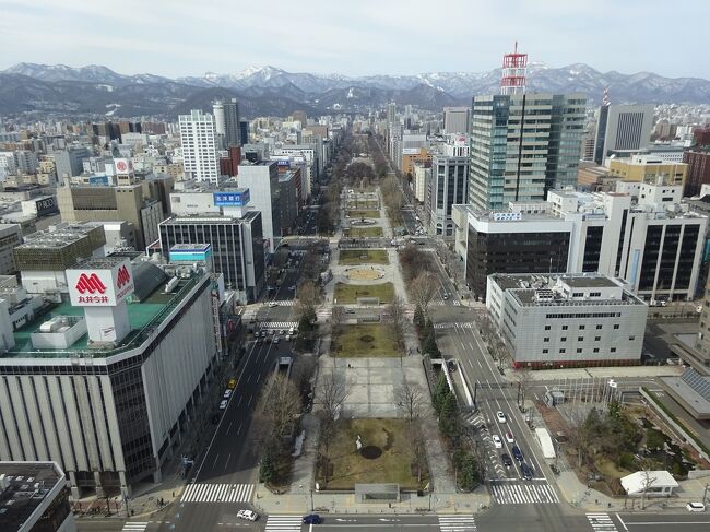 札幌にて用事があったため、1泊しながら出かけてきました。<br />約13年振りの札幌は街並みもさほど変わらず思い出の風景そのままでしたが、コロナウィルスの影響もあって人は少なめ？ちょっと寂しく感じました。<br />あくまでも用事がメインでしたが、子供達を楽しませたかったので円山動物園などにも足を延ばしてみました。