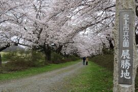 北東北の桜巡り　①　～北上展勝地と盛岡城址公園の桜