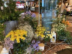 子連れで幕張 宿泊予定が日帰りに ８歳 ４歳 幕張 千葉県 の旅行記 ブログ By Keihanさん フォートラベル