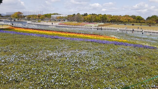 東海道本線普通列車と臨時路線バスで行く浜名湖ガーデンパークの花を楽しむ日帰り旅(前編)