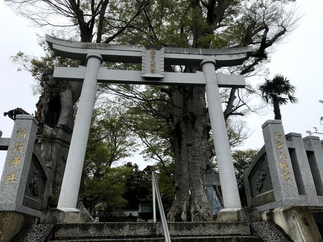 2020年4月5日、水郡線に乗車しました。<br />水郡線は水戸から郡山間を結ぶ本線と上菅谷ー常陸太田間を結ぶ支線で構成されている路線で、2019年の台風で大きな被害を受け長らく不通となっていましたが今年3月27日より全線開通しました。一部メディアによると工事が予定よりも早く終わったことから開業時期が前倒しされたということです。<br /><br />まずは水郡線で常陸太田まで向かいました。終点常陸太田駅は1面1線ですが比較的大きな駅で、駅前にバスターミナルもあります。<br /><br />改札機は簡易改札機のみ設置されており、切符は駅員が回収する形態がとられているようです。<br /><br />下車後は周辺を40分ほど散策しました。<br /><br />散策後は再度水郡線に乗車し郡山方面へ。常陸太田から郡山へ行くには途中の上菅谷駅で乗り換える必要があったため上菅谷駅でいったん降り、郡山行に乗り換えました。郡山行は4両でしたが、途中の常陸大宮で後ろ3両を切り離し、常陸大宮から郡山間は1両となりました。<br /><br />郡山で東北線に乗り換えて南下し、家に帰りました。<br /><br />また、水郡線では5月よりサイクルトレインの実証実験を行う予定です。<br /><br />