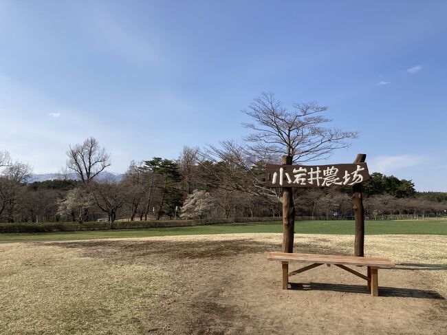 どこかにマイルでDQW いわて花巻空港編　Day1/3 中尊寺金色堂、小岩井農場、角館武家屋敷・・・