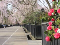 晴れおじさん「大人の休日」オトナ旅 (その８)