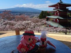 故郷の御山が恋しくて…！　富士・河口湖の春の景色を見に行くヨ！　１日目 #51