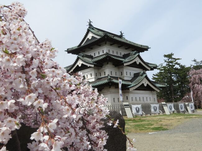 北東北の桜巡り　③　～弘前城址公園の桜