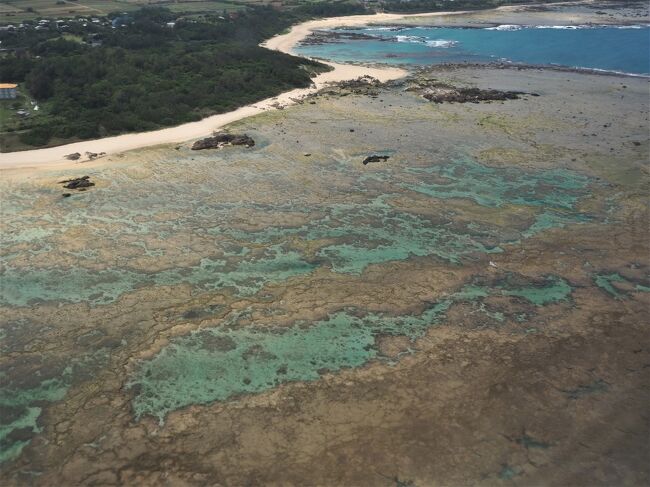 今回は島・海コンビ旅友れいろんさんとの奄美大島。<br />前回の慶良間諸島では近くにお魚さんがいるにも関わらず「ピーピーーー」のロープ内遊泳のため近くにいるのに会えなかったお魚さん。<br />リベンジを誓い選んだのは加計呂麻島！<br />20分くらいフェリーを乗れば行ける距離だけれど、そこには思わぬ試練が(・・;)　どんな試練だったかは後ほど。。。<br />加計呂麻島のスリ浜はたくさんのお魚さんがいて大満足。水中カメラが無いので写真はありませんがシュノーケルで存分に楽しめました。<br /><br />事前の天気予報は雨・雨・晴れ<br />勝負の加計呂麻島で雨はつらい。「てるてるシナモン」を連れて行って晴れるようにお願いしましょう。<br />ぬいぐるみに「人格」を与える「人種」と称されるクサポンですが、照ちゃんのファンになってほしい。照ちゃんの座右の銘は「忖度」勝負どころで気象予報士を傷つけず晴れます。<br />ちなみに、私が好きな言葉は「人生万事塞翁が馬」今回もポジティブシンキングで楽しみますヽ(^o^)丿