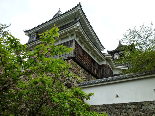 毎年夏に伺うホテルロイヤルヒル福知山&スパに行って来ました。<br /><br />目的はいつも同じで、天然温泉”福湶源湯”で体と心を癒す為~、ホテルに併設されている施設なので温泉旅館と同じ使い勝手の好さがメリットです。<br /><br />本来この季節はブライダルシーズンなので週末の予約は取りづらいのですが、コロナ禍の影響が長引く為にブライダル・宴会が中止の状態なんですね。<br /><br />だから宿泊客も温泉利用客も少なくて、利用する分にはとても静かで落ち着いた雰囲気の中、ゆっくりと温泉を楽しめました。<br />勿論、ホテルのコロナ対策はバッチリで安心して利用出来ました。<br /><br />また、福知山に来たのだからと思い、町のシンボル福知山城にも行って来ました。<br />昨年からの大河ドラマ”麒麟が来る”で人気を馳せた武将・明智光秀はこの町にとっては無くては成らないお殿様ですからね。<br /><br />いつも通り~、あちらこちらに立ち寄って買い物をするパターンです。<br /><br />撮影使用カメラ ルミックスFX70
