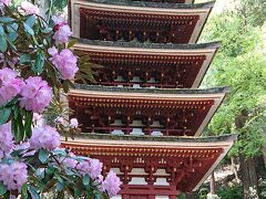 長谷寺 ぼたんまつり クチコミ アクセス 営業時間 桜井 三輪 山の辺の道 フォートラベル