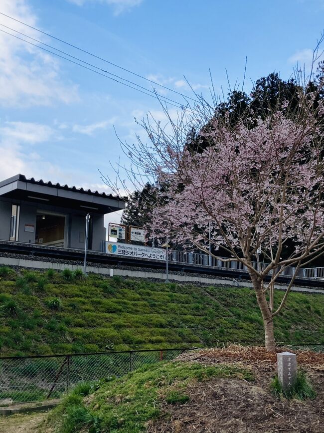 どこかにマイルでGETしたいわて花巻空港便を利用した<br />ドラクエウォークのおみやげめぐり２日目。<br /><br />１９８８年の初めての一人旅以来３３年ぶりの龍泉洞、<br />初めての浄土ヶ浜、<br />そして、１９８９年夏の自転車旅行で思い出深い田老町（現宮古市）を<br />あれから１０年経ってようやく再訪出来た、<br />この旅のハイライトの１日になりました。