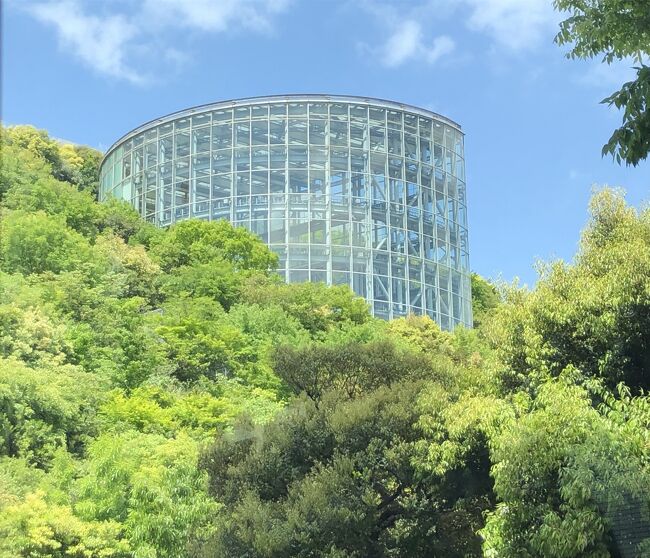 2021年4月15日(木)~20日(火)一人で成田から福岡に飛びました。<br />コロナ前からの、ほぼ毎月恒例の「暮らすように旅する福岡旅」です。小倉と博多で、友達や従姉妹達と会い、旧交を暖め、おしゃべりし、ランチやお茶、買い物を楽しみました。<br /> ご時世ですので、避密は必須。でもあちこちで、偶然貴重な体験をし、心優しい人達と触れ合うことができ、いつも以上に心温まる旅となりました。その旅行記です。<br /> 4部作ですので、よろしければ最後までお付き合いください。