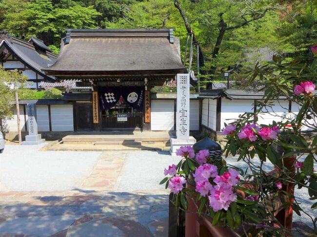 桜の開花も早かったですが、室生寺の石楠花も満開に<br /><br /><br />室生寺<br />http://www.murouji.or.jp/<br /><br />宇陀市観光協会<br />http://www.city.uda.nara.jp/sin-kankou/guide/flower/f16.html